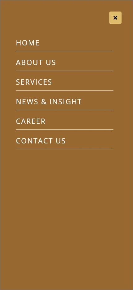 Amir & Amir Law Associates: Mobile navigation, mobile website design